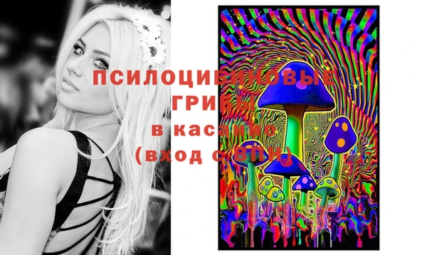 mdpv Алексин