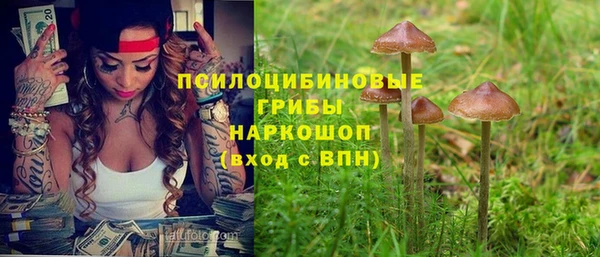 амф Алексеевка