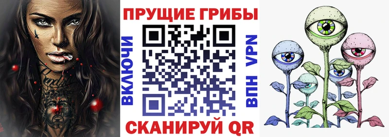 KRAKEN   купить наркотики цена  Сосновый Бор  Псилоцибиновые грибы Psilocybe 